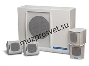 Профессиональный пассивный комплект из сабвуфера и четырех сателлитов, Hi-Pass / Low-pass пассивные фильтры, 220W/6 ohm, цвет белый