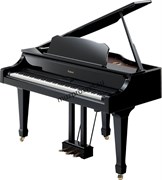 Roland RG-3F-PE цифровой рояль компл.