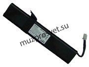 ROLAND FR-5 BATTERY PACK набор аккумуляторов для FR-5 и 7