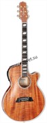 TAKAMINE TSP178ACKN электроакустическая гитара, в комплекте кейс