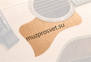 TAYLOR 80293 PG, Static Universal Накладка на деку