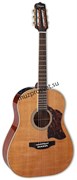 TAKAMINE CRN-TS1 электроакустическая гитара, в комплекте кейс
