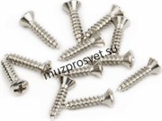 FENDER PICKGUARD-VINTAGE BRIDGE COVER MOUNTING SCREWS саморезы для крепления пикгарда, цвет никель (12)