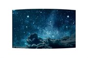 55&quot; OLED дисплей LG 55EF5F