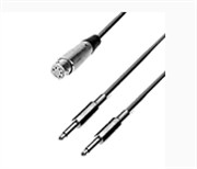 Neumann AC 29 - Кабель для блока питания BS 48 i или N 48 i, 5-pin XLR F / 2х6.3 mm mono jack, 0.3 м