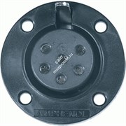 Proel AP6FP - Amphenol 6 контактный блочный  разъем (мама)