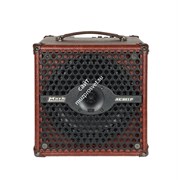 AC 801 P/Комбо для акустической гитары 8&quot; 60 Вт/DV MARK