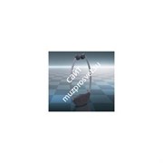 A-4043-0 / RCI-102 Наушники со встроенным 2-канальным ИК-приемником / AUDIOROPA
