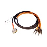 AVID DB25-TRS DigiSnake 4&#39; кабель
