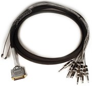 AVID DB25-TS +4/-10 db Padded DigiSnake 12&#39; кабель