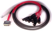 Avid DB25-XLRM DigiSnake 12&#39; кабель