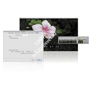 AVID Video Satellite LE программа синхронизации рабочих станции