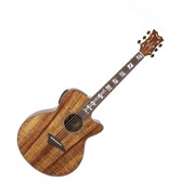 EKOA/ Электроакустич. гитара серия Exotic/DEAN