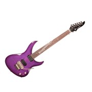AND DCGF FL GRP/Andromeda Electric W/Floyd W/bag/LUNA