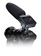 Tascam DR-10SG