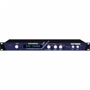 BLUE THUNDER/Басовый процессор эффектов; 128 пресетов/ROCKTRON