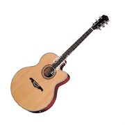  Акустическая гитара J&D .D G-101