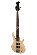 GIBSON 2019 EB Bass 5 String Natural Satin бас-гитара, цвет натуральный в комплекте чехол