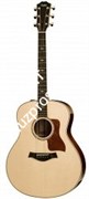 TAYLOR 818e 800 Series, гитара электроакустическая, форма корпуса Grand Orchestra, кейс