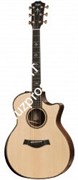 TAYLOR 914ce 900 Series, гитара электроакустическая, форма корпуса Grand Auditorium, кейс