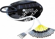 HORIZON S24X8-200FF мультикор, 32 канала, 8 выходов