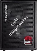 TC ELECTRONIC BG250-210 басгитарный комбоусилитель, 250 Вт, 2x10', 2 эффекта TonePrint