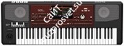 KORG Pa700-OR профессиональная аранжировочная станция, 61 клавиша с восточными звуками (ORIENTAL).