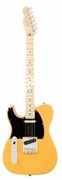 FENDER AM PRO TELE LH MN BTB (ASH) электрогитара American Pro Telecaster (ясень), леворукая, цвет баттерскоч блонд, клен накл