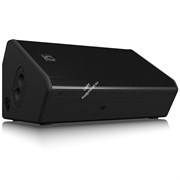 Turbosound MADRID TMS122M пассивная АС/монитор, биамп,12&quot;+1,4&quot;, 8 Ом,800Вт RMS/3200Вт пик,131дБ SPL,50Гц-20кГц -10дБ, 90°Hx50°V, 2xM10, двойной стакан