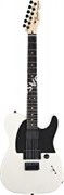 FENDER JIM ROOT TELECASTER WHT электрогитара с кейсом, цвет белый