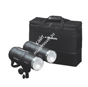 Комплект с двумя моноблоками Profoto D1 Studio Kit 500/500 901053
