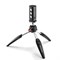 Manfrotto LIGHT-KIT-PIXIEVO Комплект: штатив Pixi Evo+LED свет - фото 100483