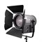 Осветитель студийный GreenBean Fresnel 300 LED X3 DMX, шт - фото 101766