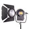 Осветитель студийный GreenBean Fresnel 300 LED X3 DMX, шт - фото 101772