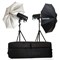 Комплект с двумя моноблоками Broncolor Siros Basic 400 31.660.ХХ - фото 104691