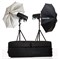 Комплект с двумя моноблоками Broncolor Siros Basic 800 31.680.ХХ - фото 106676