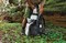 Lens Trekker 600 AW III - фото 108601