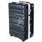 Kinoflo Diva-Lite 201 Flight Case (2-Unit) KAS-D22 - фото 110035