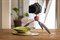 Штатив Manfrotto MTPIXIEVO-RD Pixi Evo настольный штатив с головкой ( красный) - фото 111472