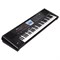 ROLAND BK-3 - синтезатор, 61 кл., звуков 851+53 ударных, 128 полиф., 250 ритмов, черный. - фото 116740