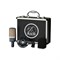 AKG C214 - конденсаторный микрофон с 1" мембраной. В комплекте: держатель антивибрационный, КЕЙС - фото 118828
