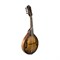 Washburn M106SWK - мандолина - фото 121580