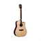 Washburn WD250SWCE - электроакустическая гитара Dreadnought с вырезом - фото 121609