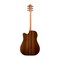 Washburn WD250SWCE - электроакустическая гитара Dreadnought с вырезом - фото 121610