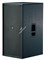DAS AUDIO ACTION-218A Активный сабвуфер, 2х18", RMS 1600 Вт/ пик. 3200 Вт, 35 Гц -160 Гц, 140 дБ - фото 140984