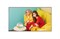 75" ULTRA HD ЖК панель, 500 кд/м2, 24/7, 3840x2160, LG webOS 4.0, акустика - фото 147491