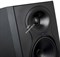 LP-6 / Студийный монитор 6.5" + 1", 40 Вт + 40 Вт, усилитель класса D, 39 - 25.000 Hz /  KALI AUDIO - фото 149163