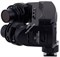 RODE Stereo VideoMic X стерео накамерный микрофон вещательного класса - фото 152842