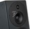 Dynaudio Core 59 монитор активный 3-полосный премимум класса. Усилитель Pascal класса D: НЧ - 500Вт / СЧ - 500Вт / ВЧ - 150Вт, 1" ВЧ твитер, 5" СЧ драйвер, 9,5 НЧ вуфер, Входы на разъемах XLR - аналог/AES3 (до 24бит/192кГц), Частотный диапазон 38Гц - 24кГ - фото 152883