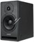 Dynaudio Core 7 монитор активный 2-полосный премиум-класса. Усилитель Pascal класса D: НЧ - 500Вт / ВЧ - 150Вт, 1" ВЧ твитер, 7" НЧ вуфер, Фронтальный фазоинвертор, Входы на разъемах XLR - аналог/AES3 (до 24бит/192кГц), Частотный диапазон 38Гц - 24кГц, 4  - фото 153287